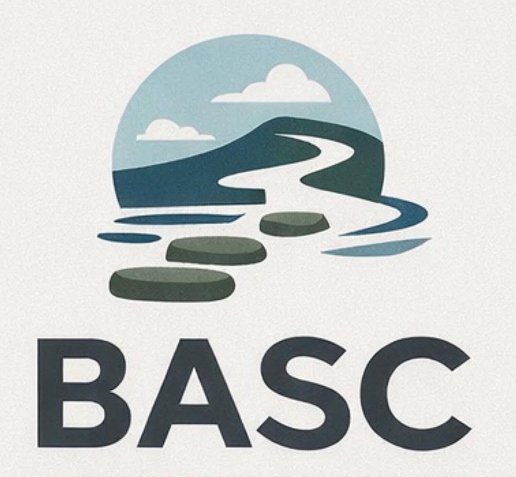 BASC Behavioral and Adaptive Skills Coaching